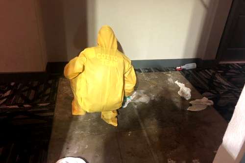 Mold Remediation