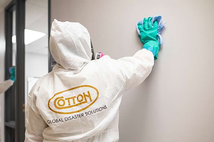 Cotton GDS commercial disaster solutions team removing mold in Panama City, FL