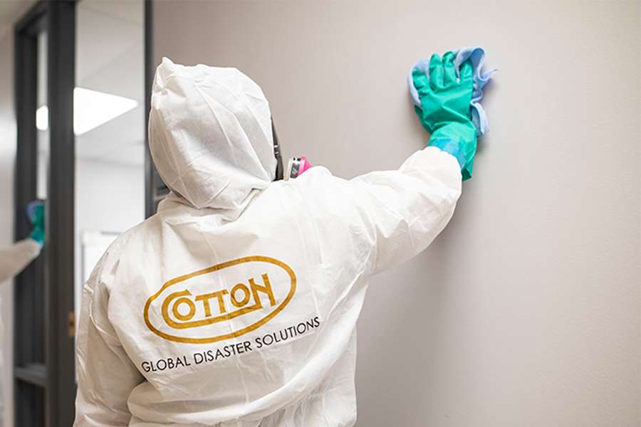 Cotton GDS commercial disaster solutions team removing mold in Panama City, FL