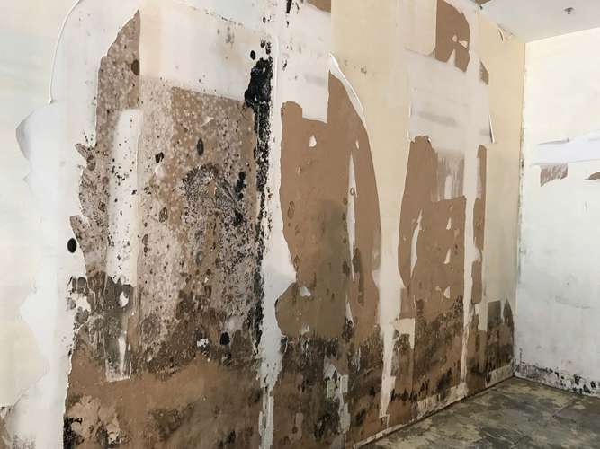 Commercial mold damage in Fort Lauderdale, FL