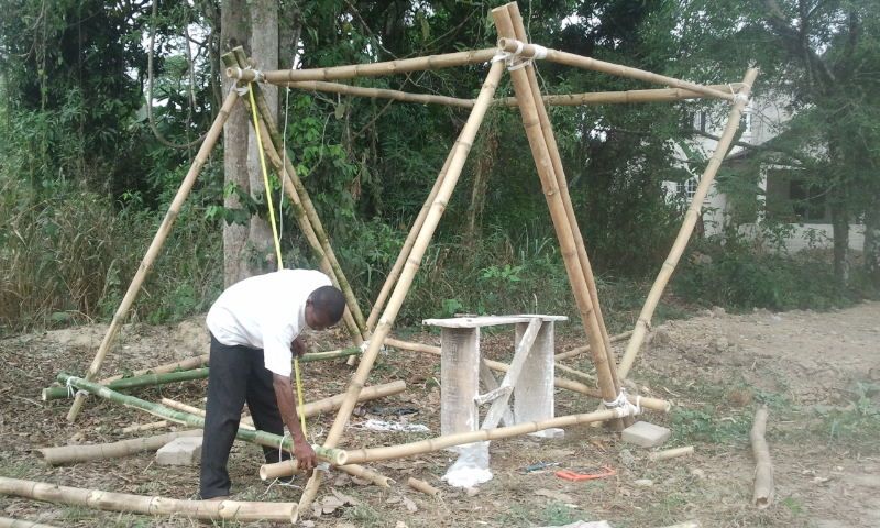 2012-03-09 bambu pod.jpg