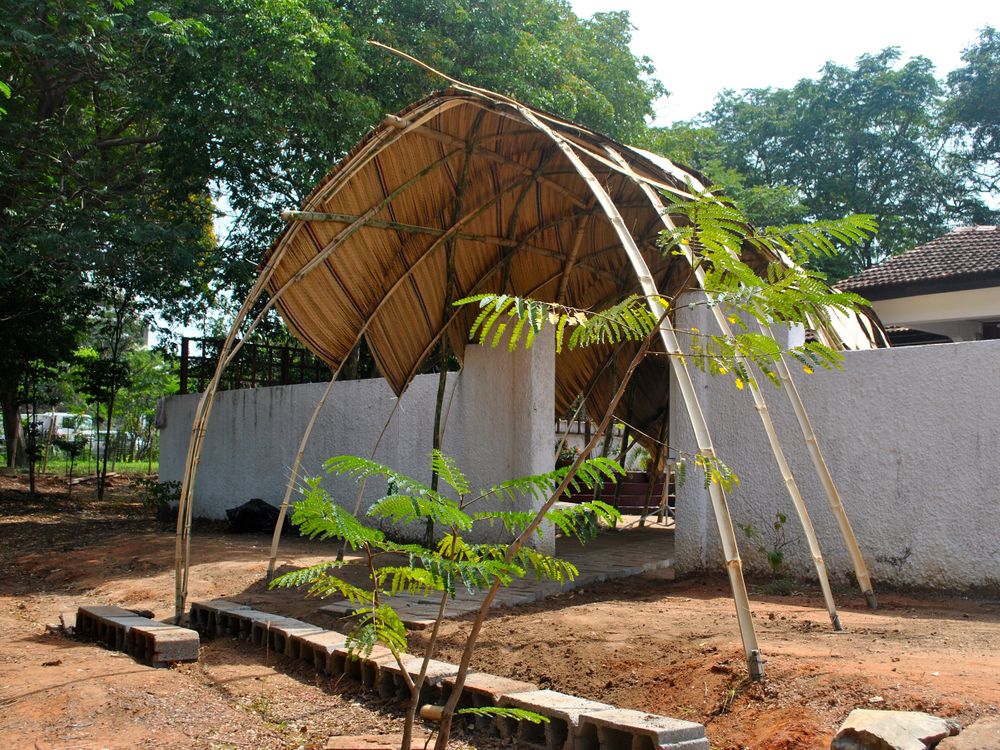 Bamboo Lattice Vault