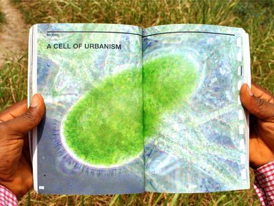 10_rurban-cell.jpg