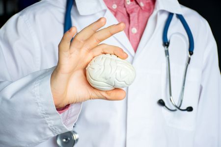 General practitioner or neurologist holding anatomical model of human brain. Concept photo in neurology, psychiatry, psychotherapy