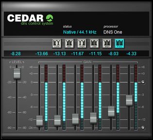 Cedar DNS One.jpg