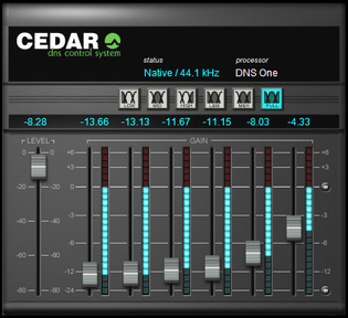 Cedar DNS One.jpg