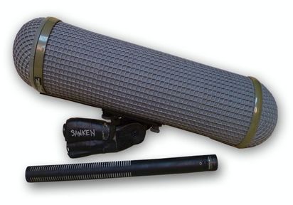 Sanken with zepp.jpg
