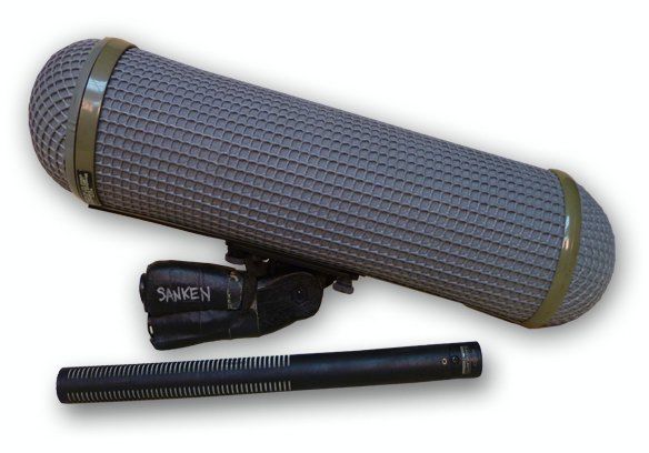 Sanken with zepp.jpg