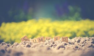 summer-letter-cube-on-soil-1209611.jpg