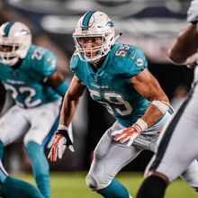 Chase Allen Dolphins.jpg