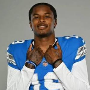 Detriot Lions dl