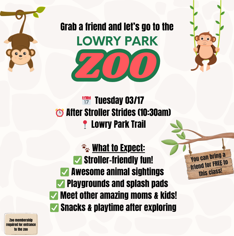 Feb 2026 - Zoo.png