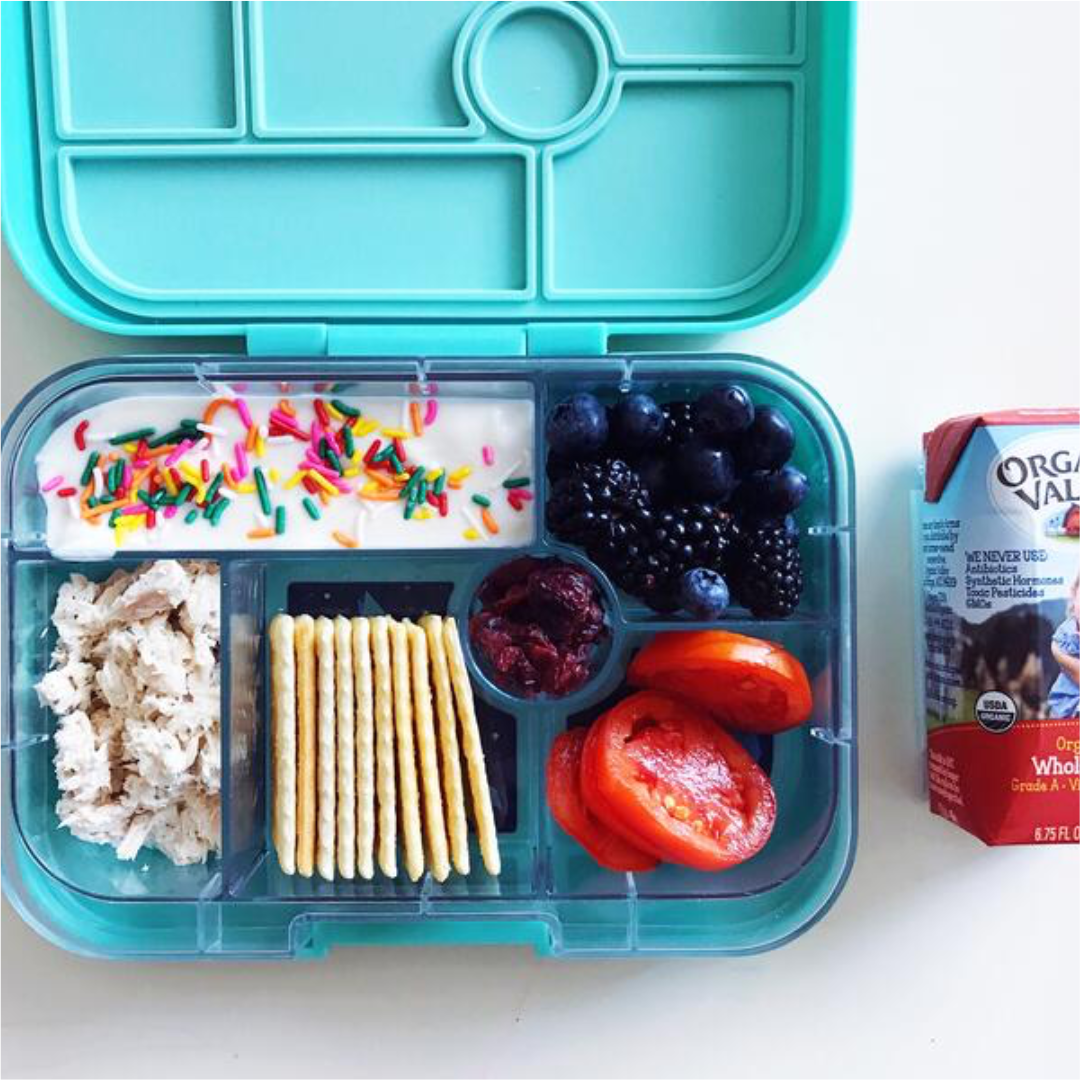 Back-to-School Lunchbox Ideas For the Busy Family - FIT4MOM® Tampa Bay