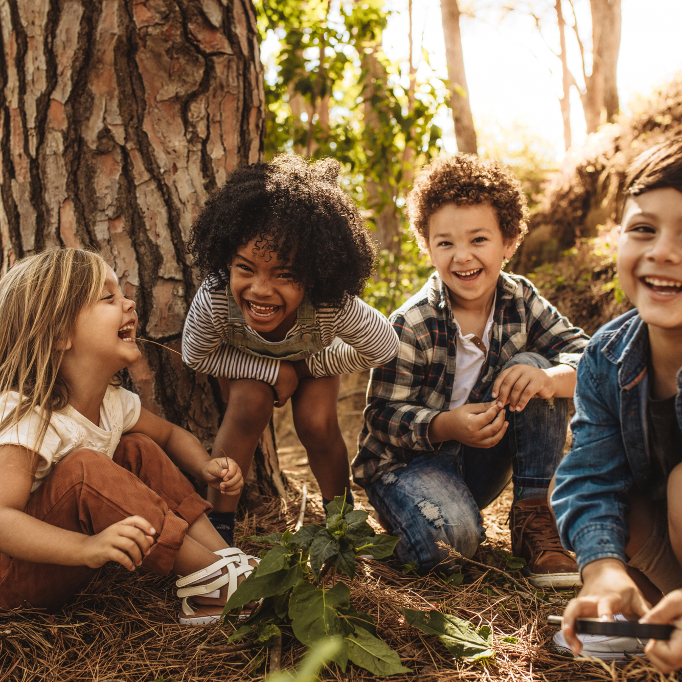 Untitled (Card (Square))-3.png