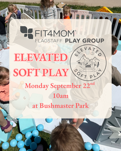 PLAY GROUP soft play .png