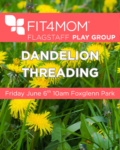 Dandelion Play group .png