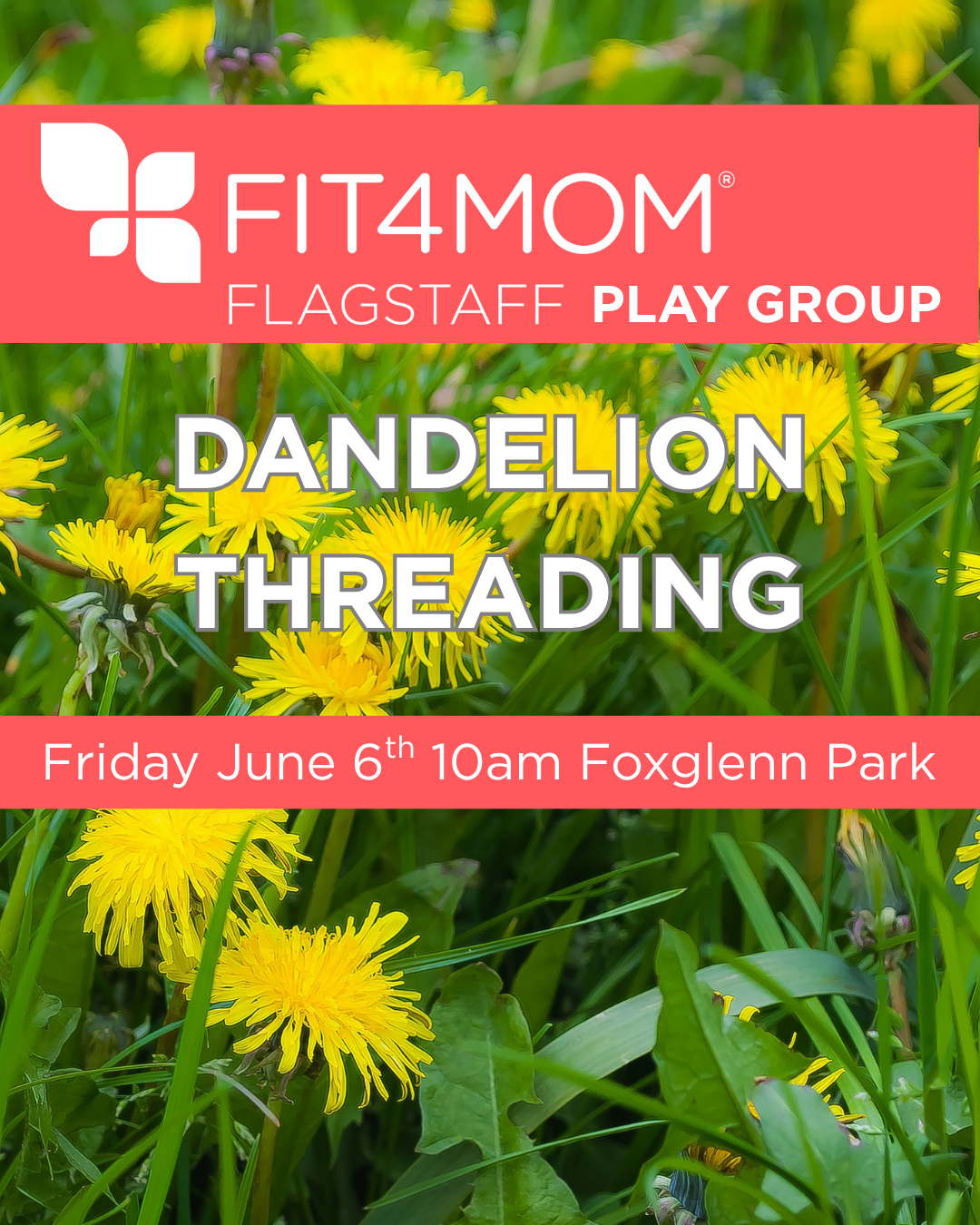 Dandelion Play group .png