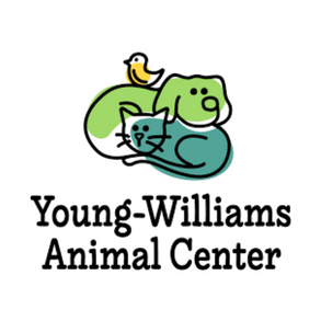 Website Logo_Young Williams.png