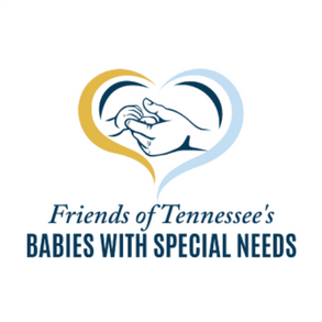 Website Logo_Babies with Special Needs.png