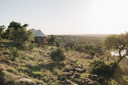 Premier Tent