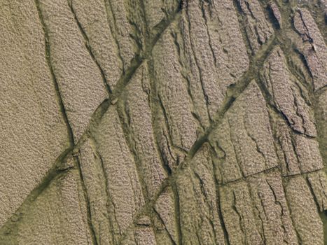 Terms & Conditions - Header.jpg