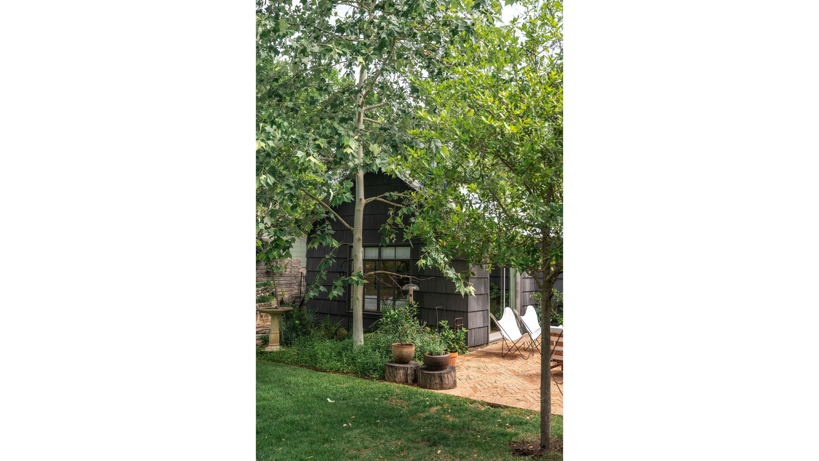 campbell-la-travis-hights (10).jpg