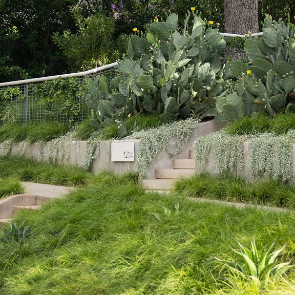 9th Street Cover.jpg