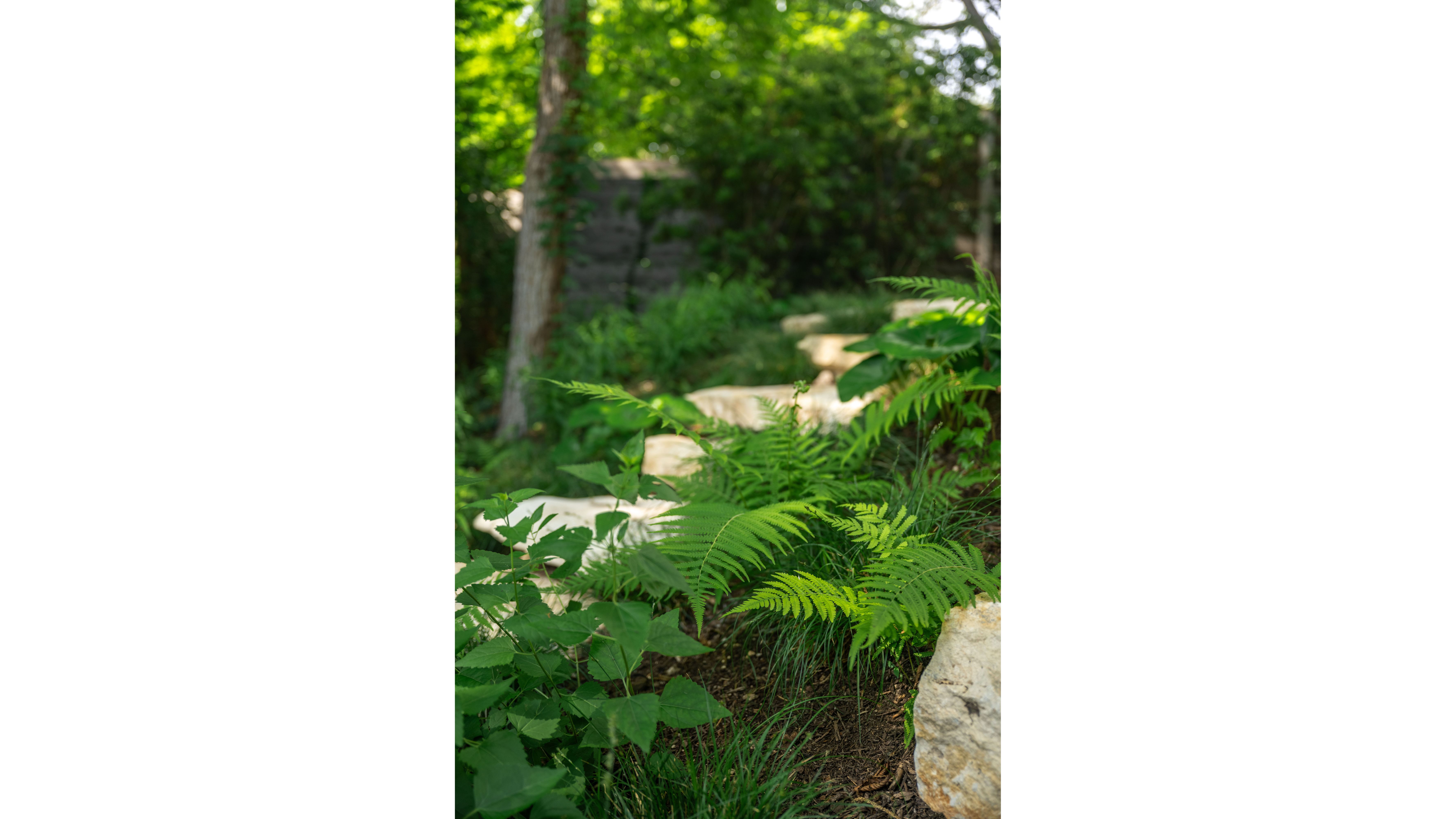 campbell-la-bouldin-creek-12 white space.jpg