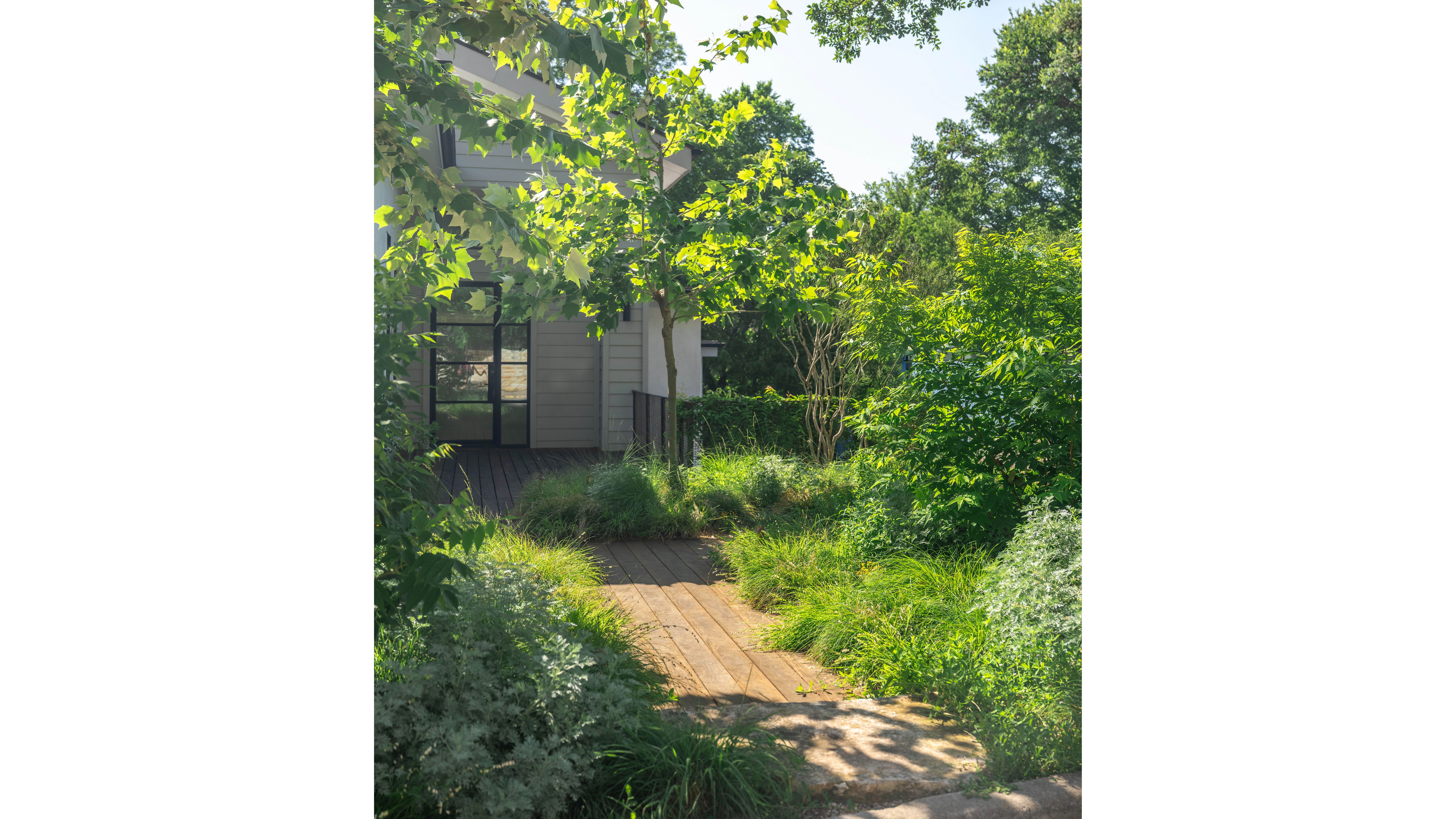 campbell-la-bouldin-creek-1 white space.jpg