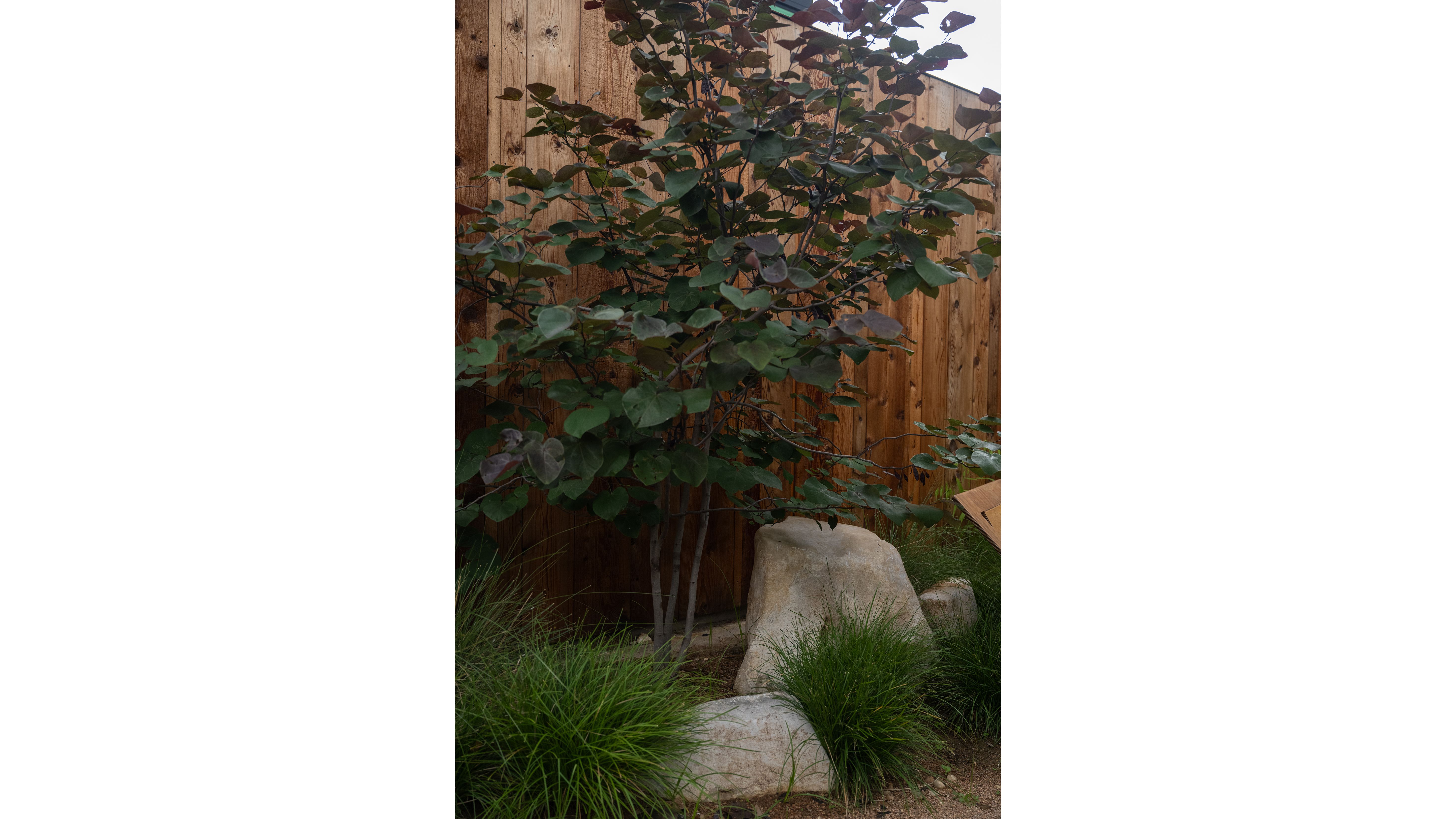 campbel-la-Frame Hotel 6.jpg