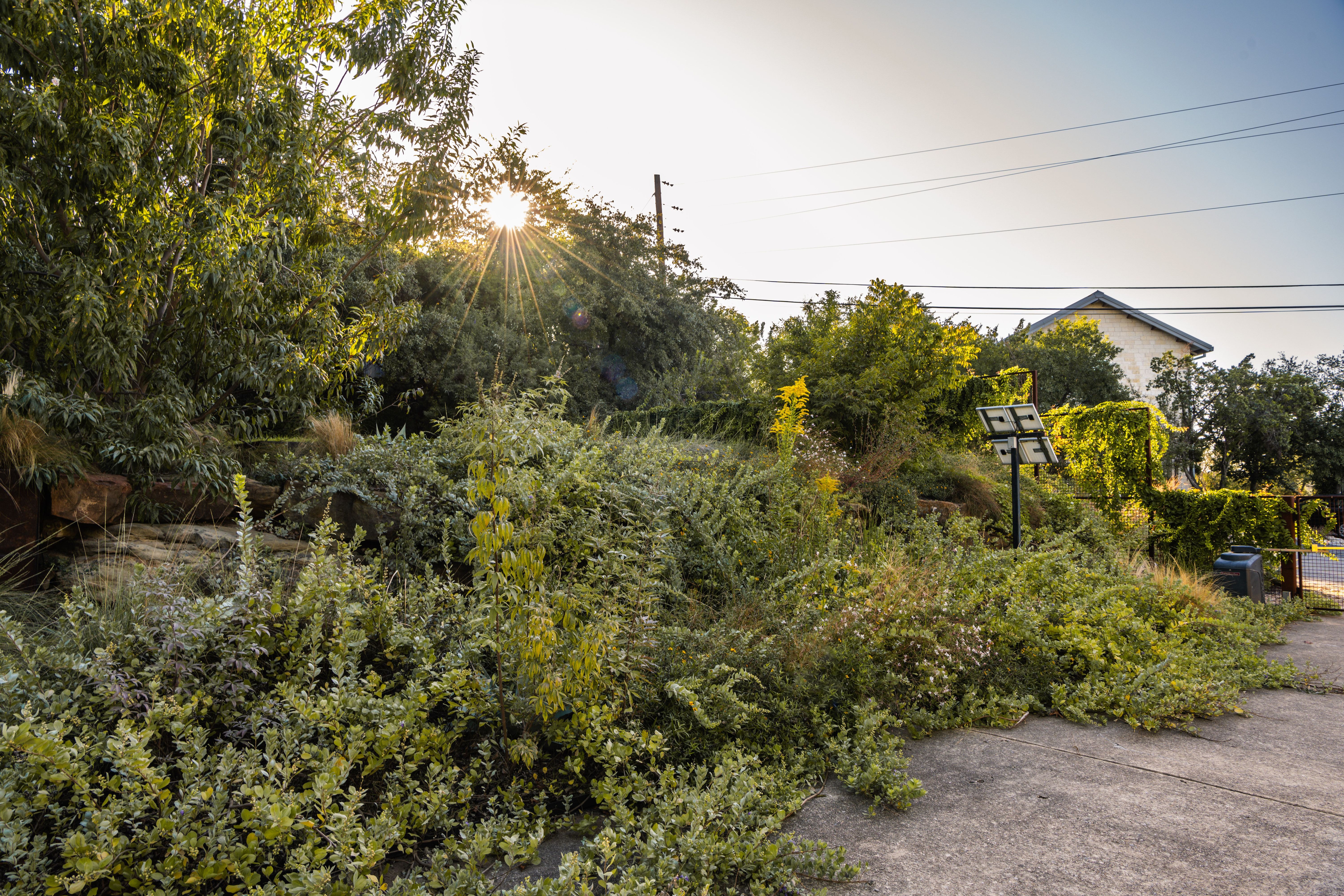 campbell-la-CANYON-RIM  (1).jpg