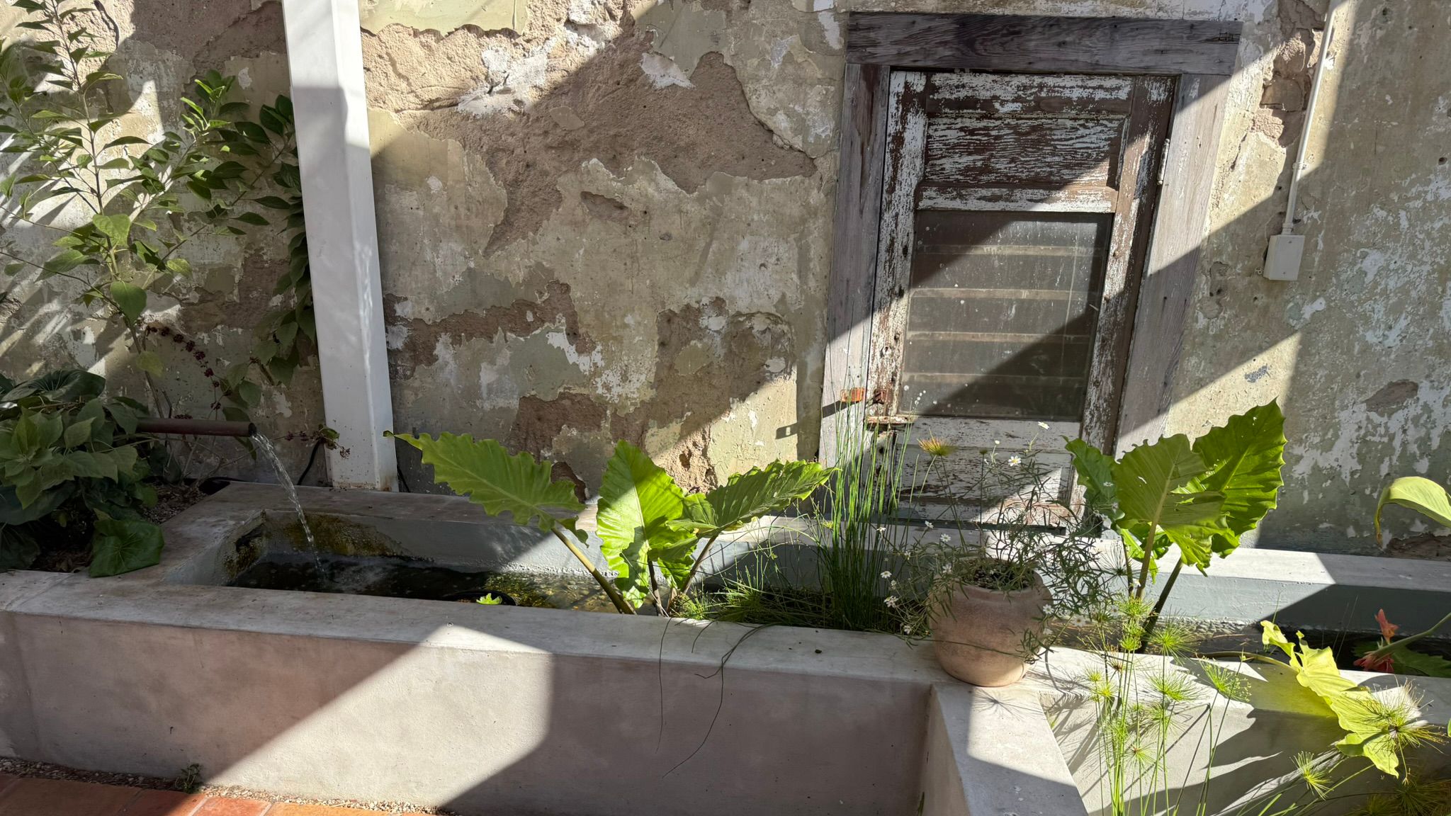 Swedish Hill South 1st 5.jpg