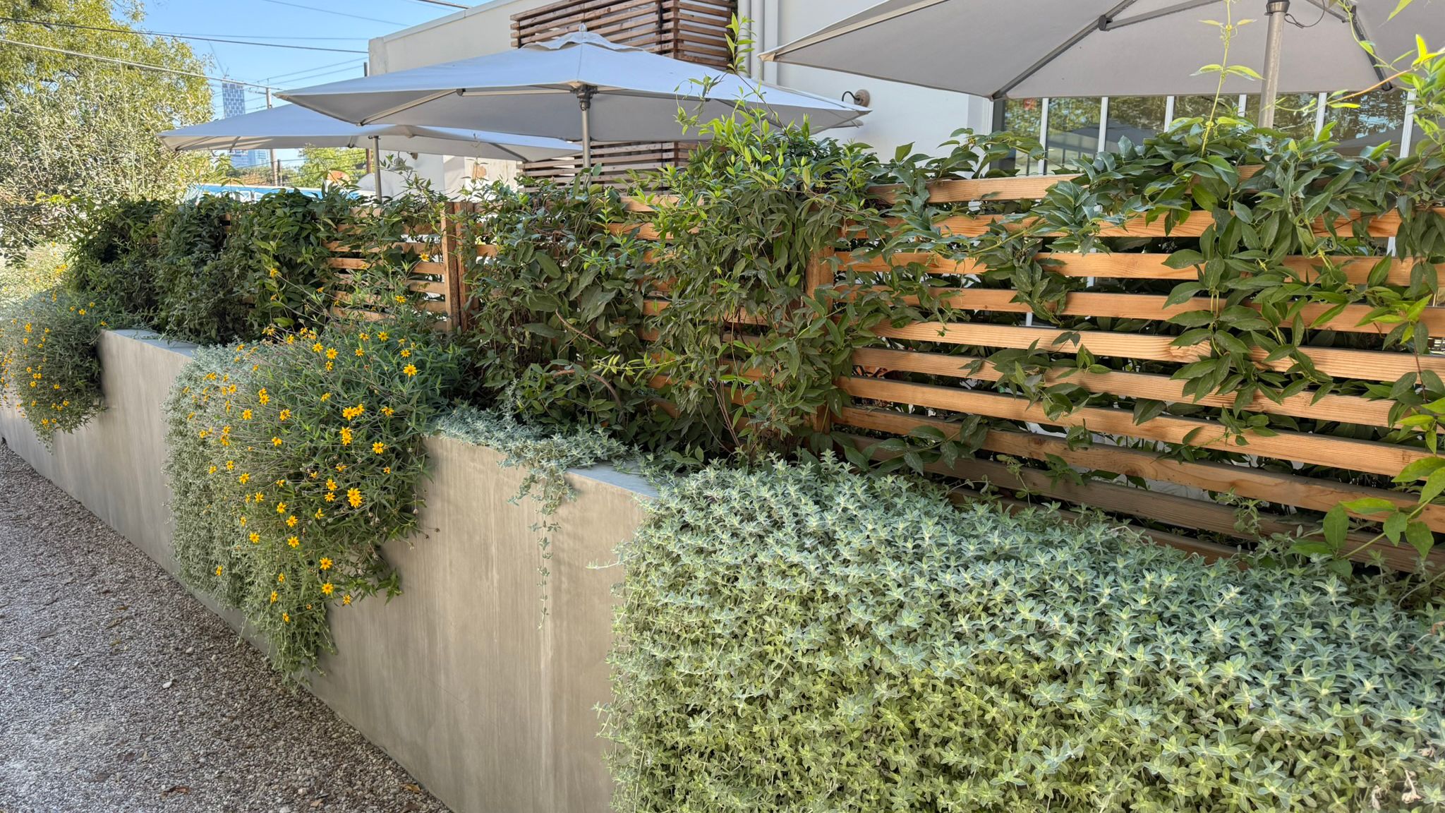 Swedish Hill South 1st 12.jpg