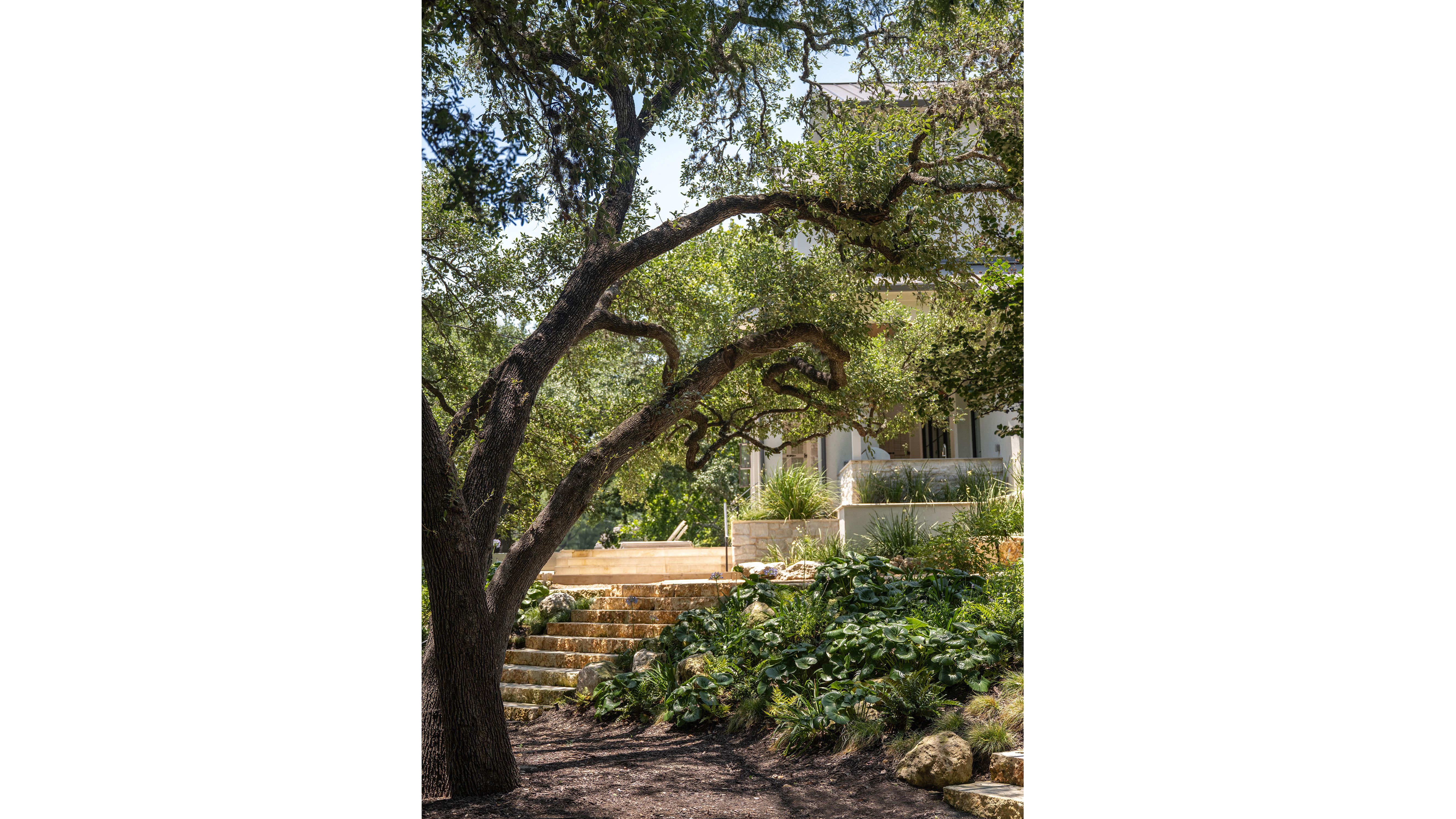 campbell-la-westlake-drive (1).jpg