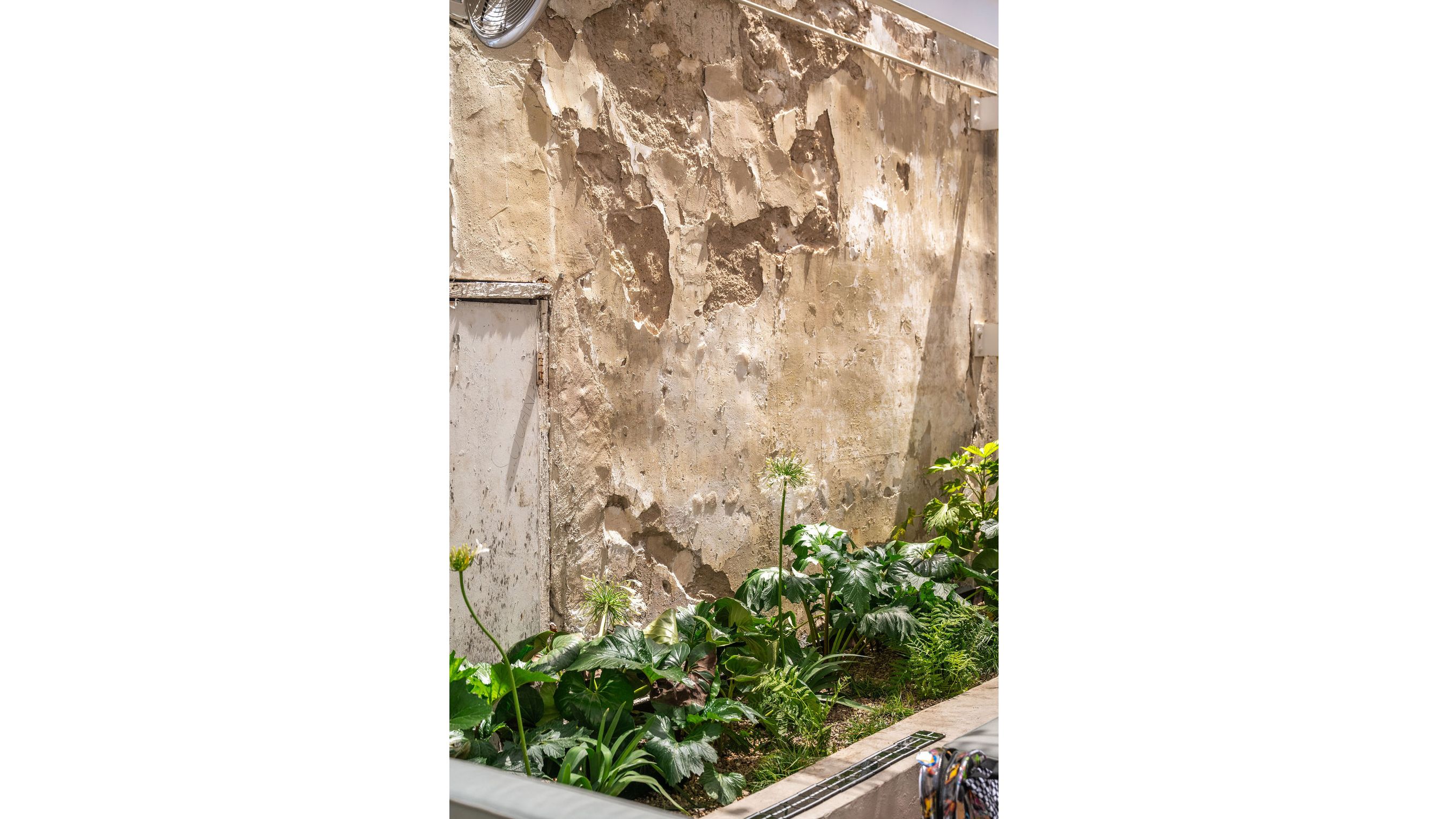 Swedish Hill South 1st 24.jpg