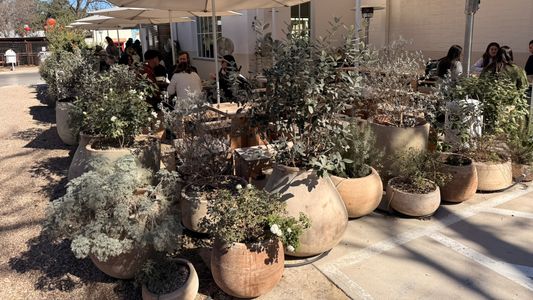 SWEDISH HILL SOUTH 1ST