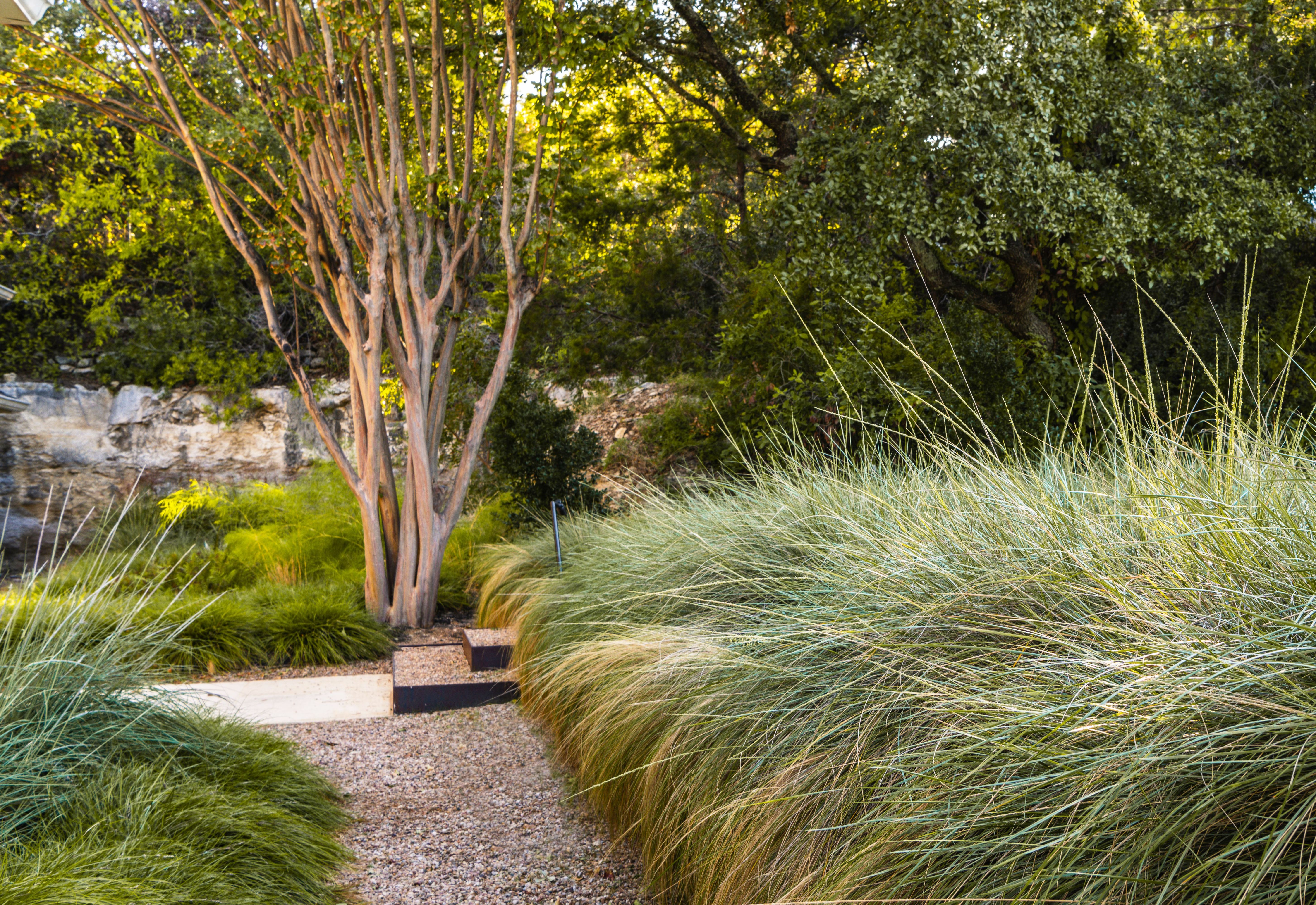 campbell-la-CANYON-RIM  (4).jpg