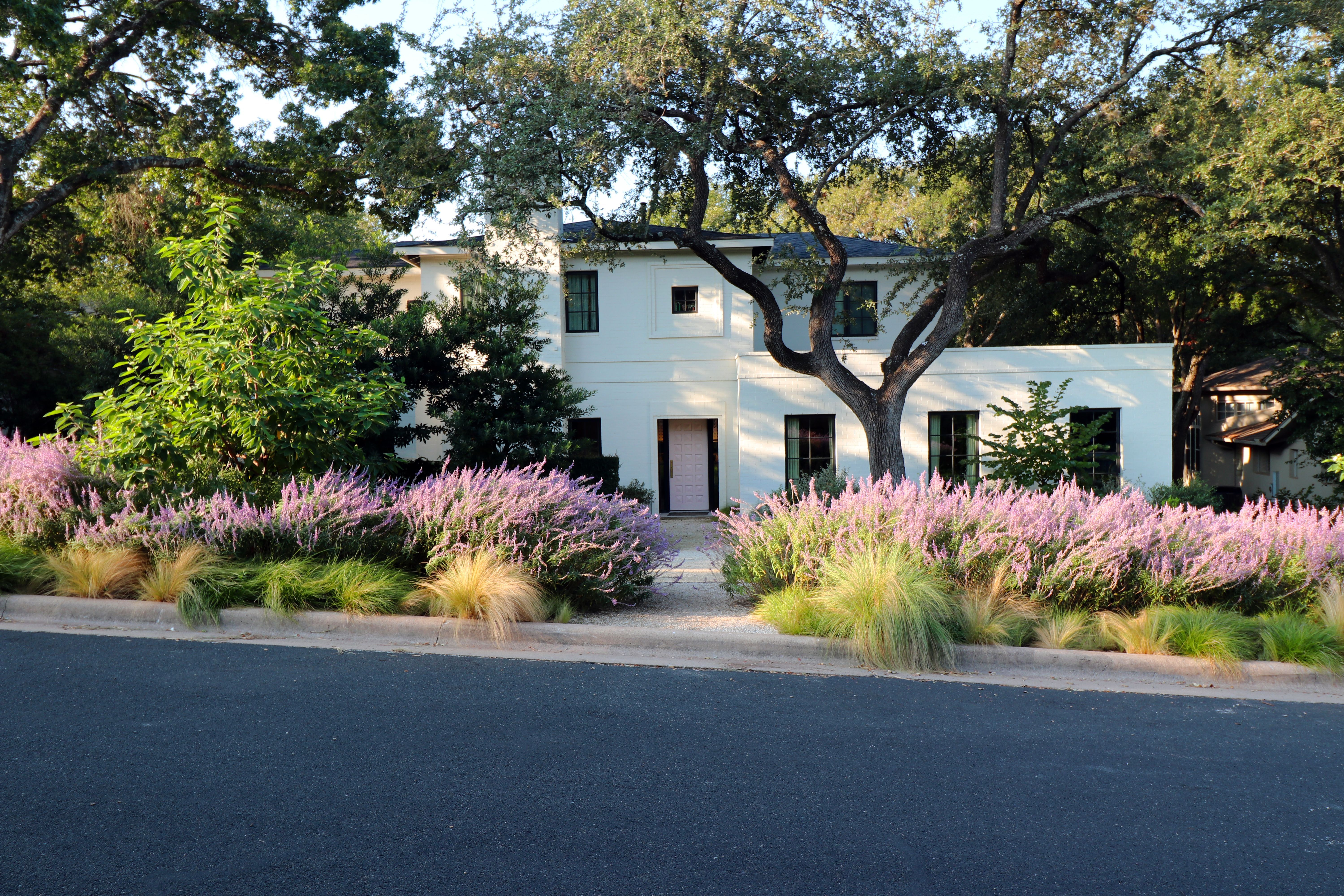 campbell-la-south-hill (1).jpg