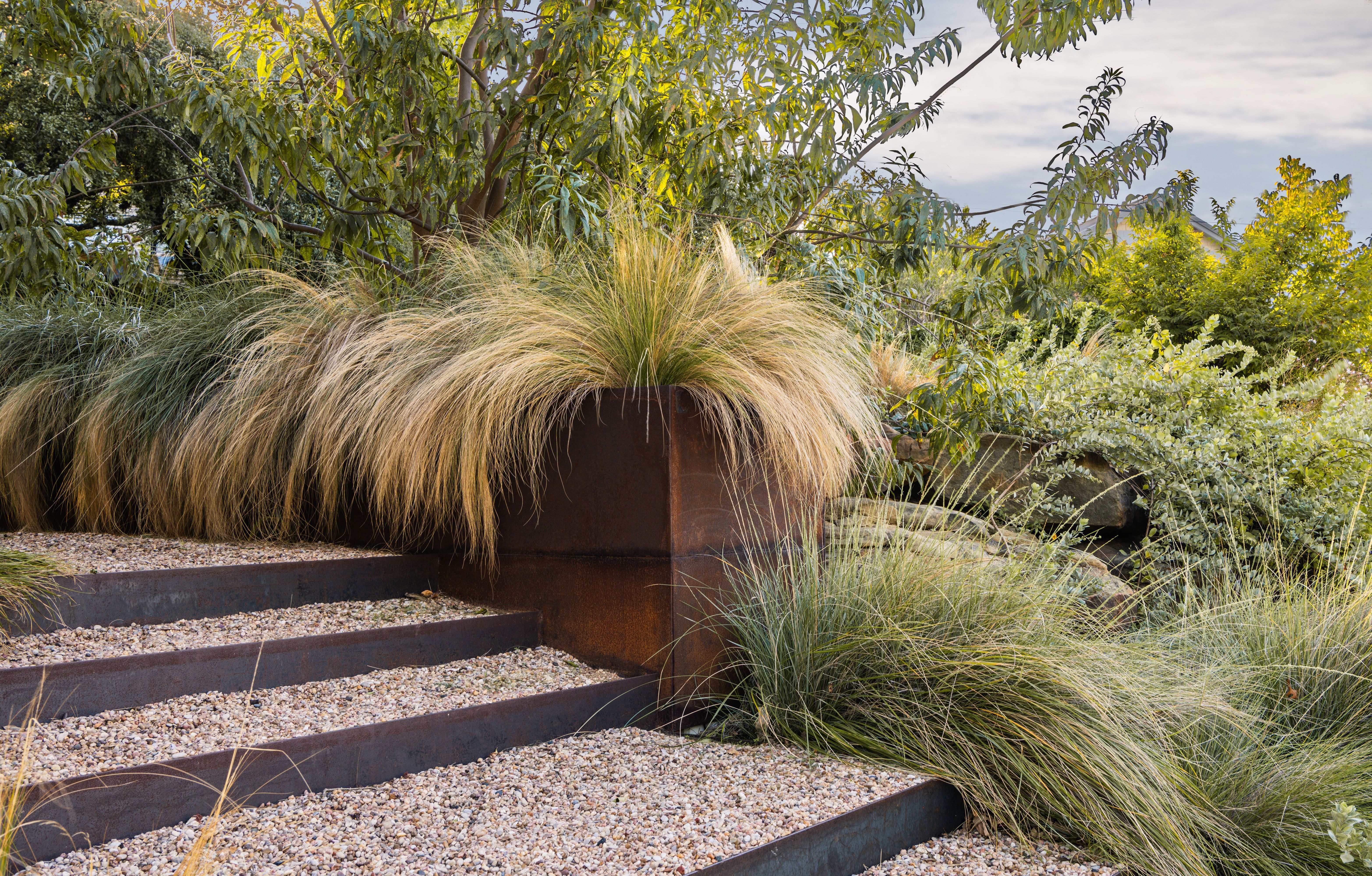 campbell-la-CANYON-RIM  (3).jpg