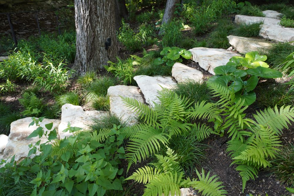 BOULDIN CREEK 