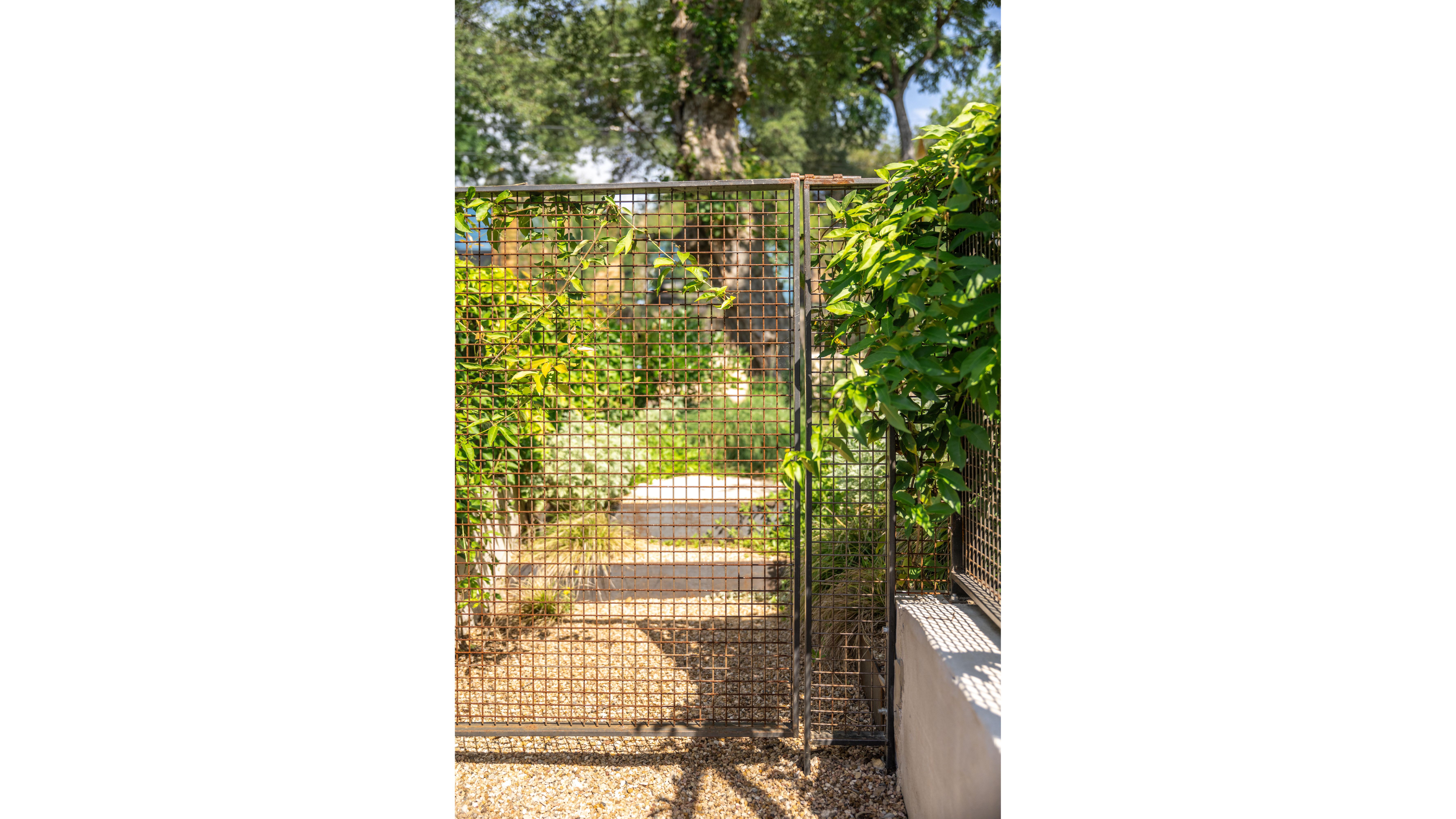 campbell-la-bouldin-creek-2 white space.jpg