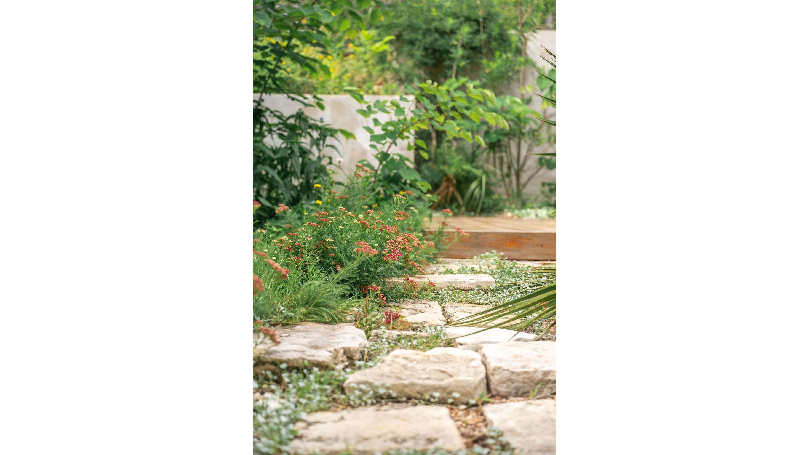 campbell-la-TRAVIS-HEIGHTS (7).jpg