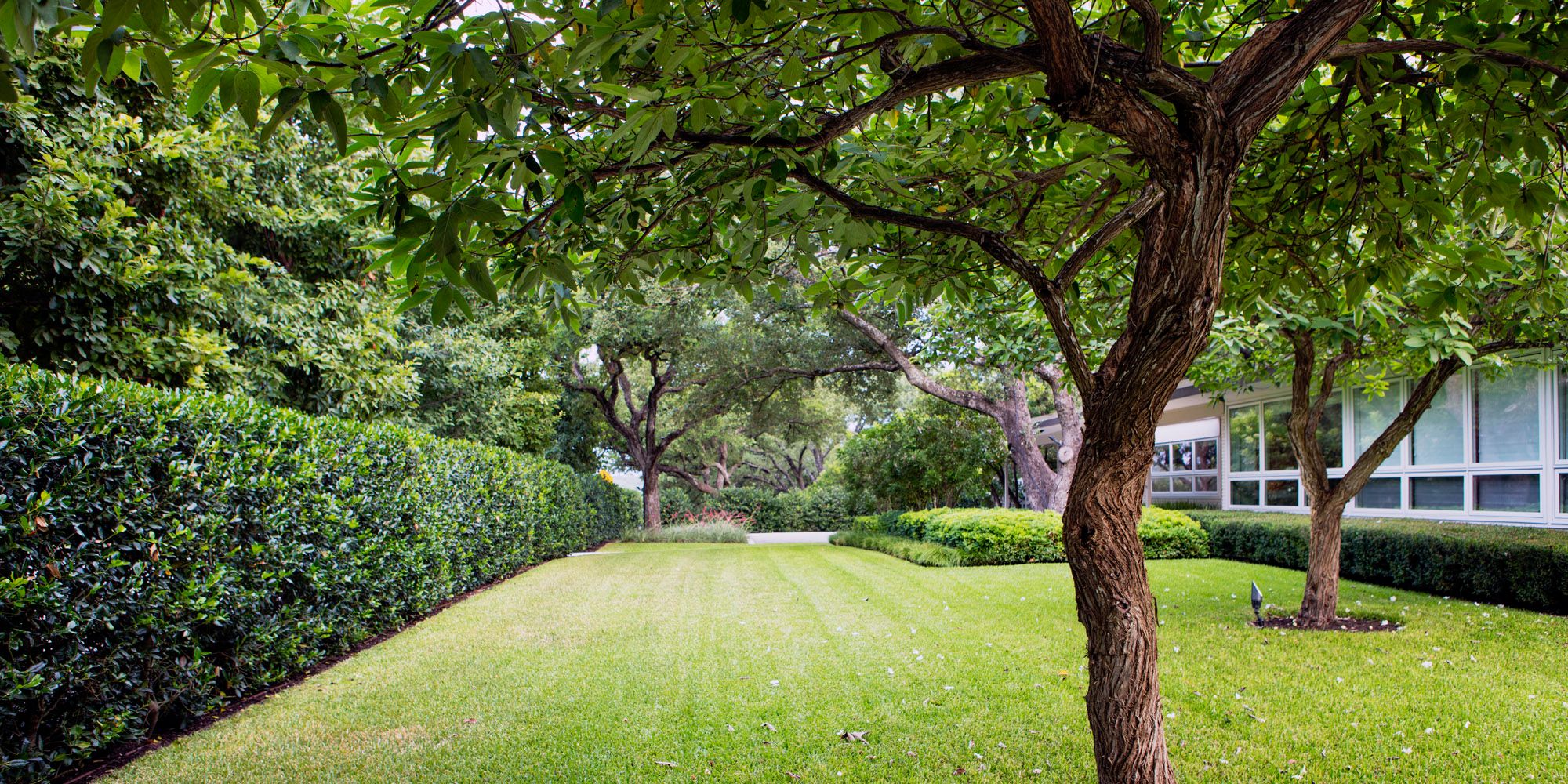 Las Palmas_6640 copy.jpg