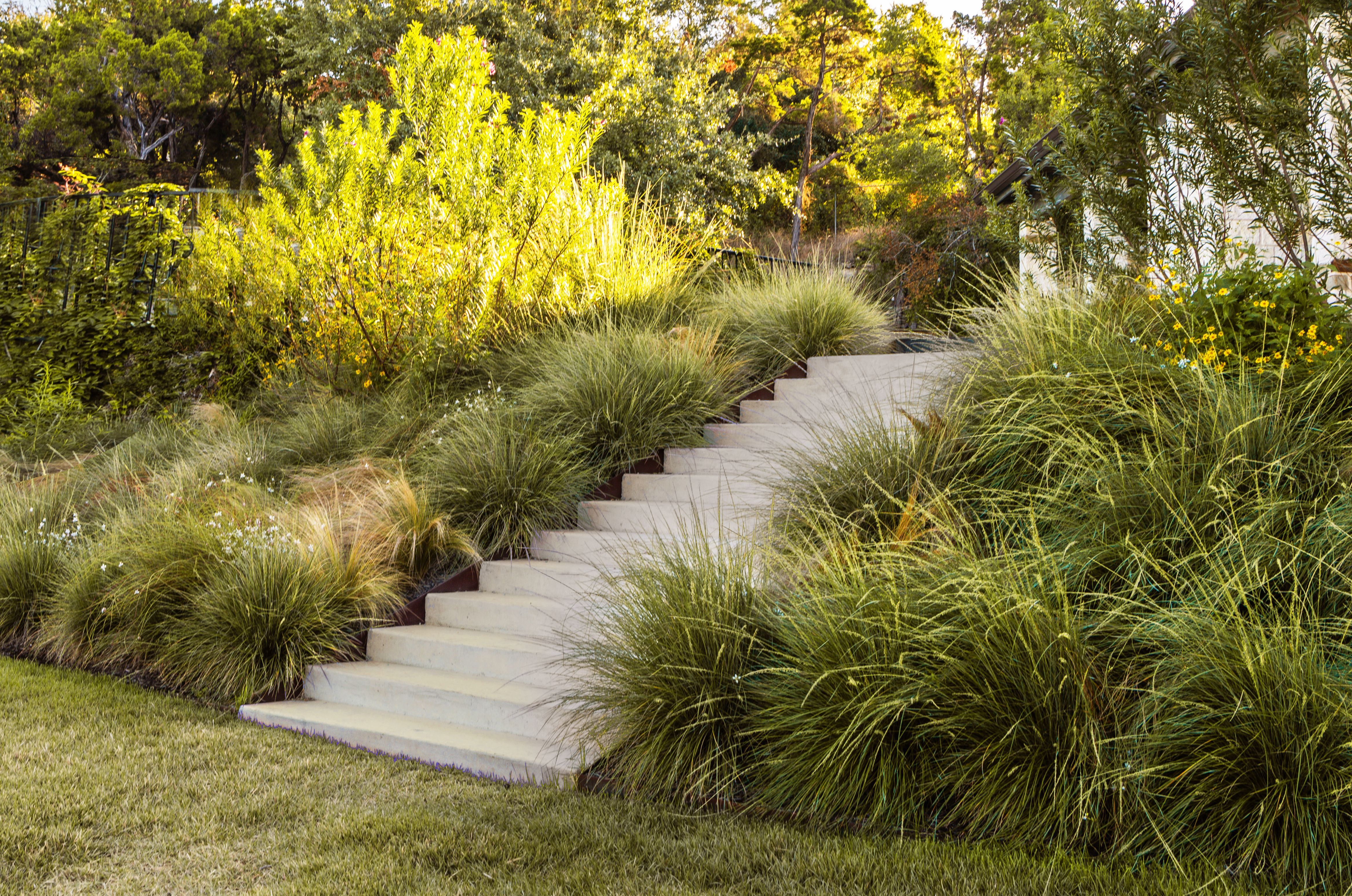 campbell-la-CANYON-RIM  (2).jpg