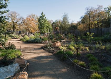 LEONA BOTANICAL CAFE