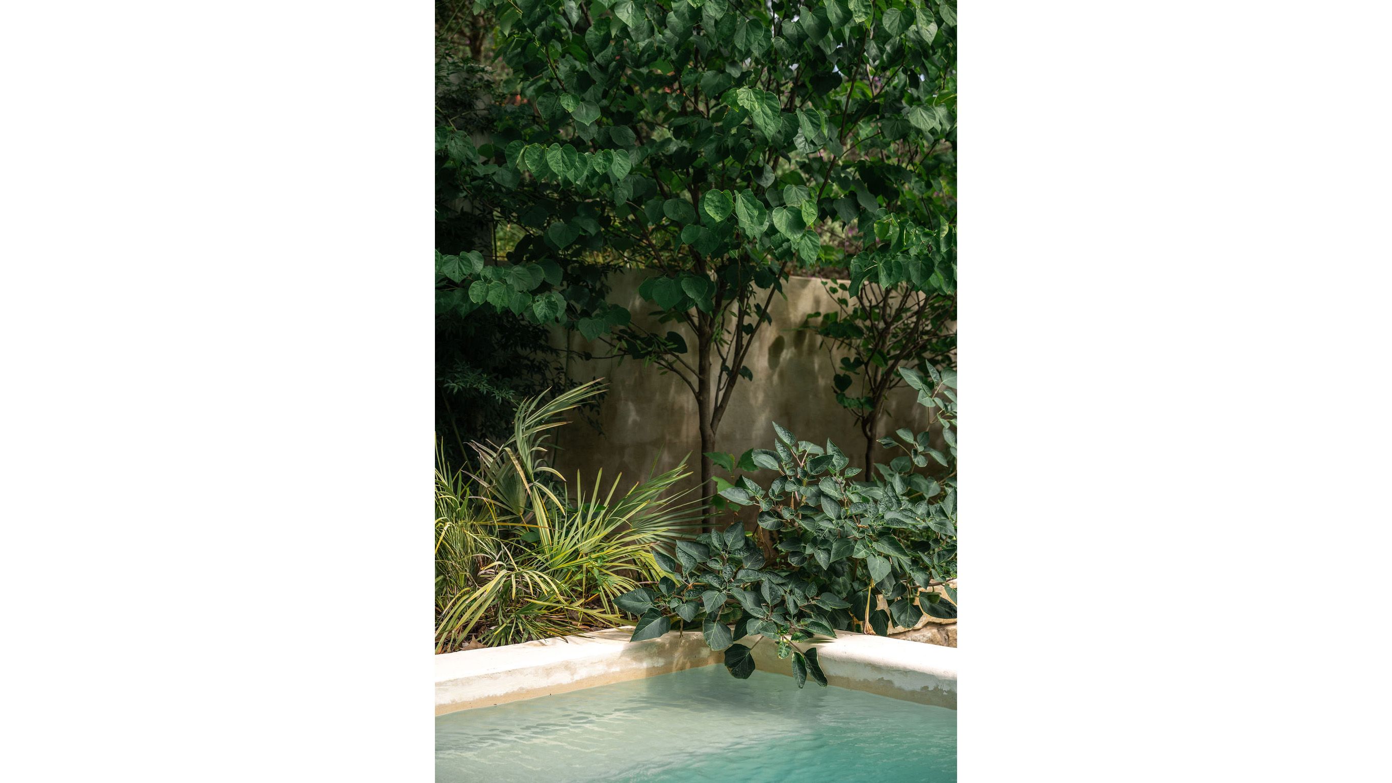 campbell-la-travis-hights (9).jpg