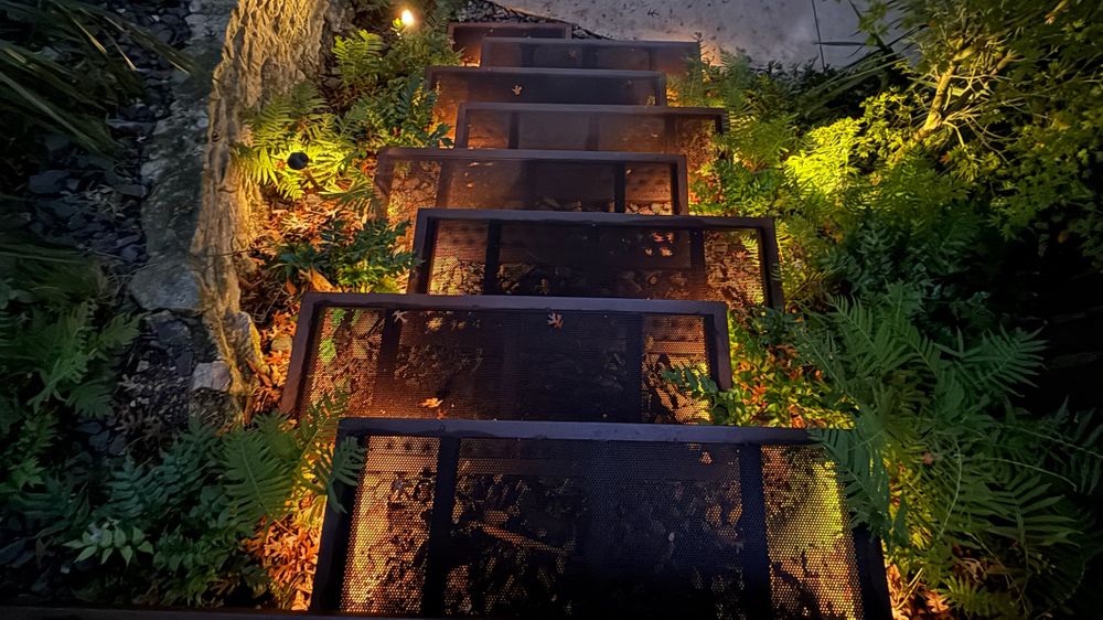 WOODLAND ENTRY