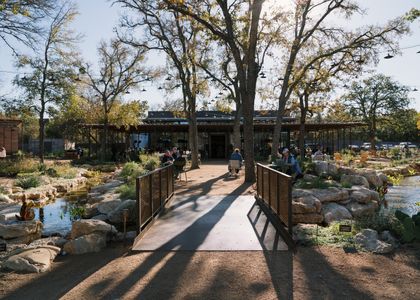 LEONA BOTANICAL CAFE