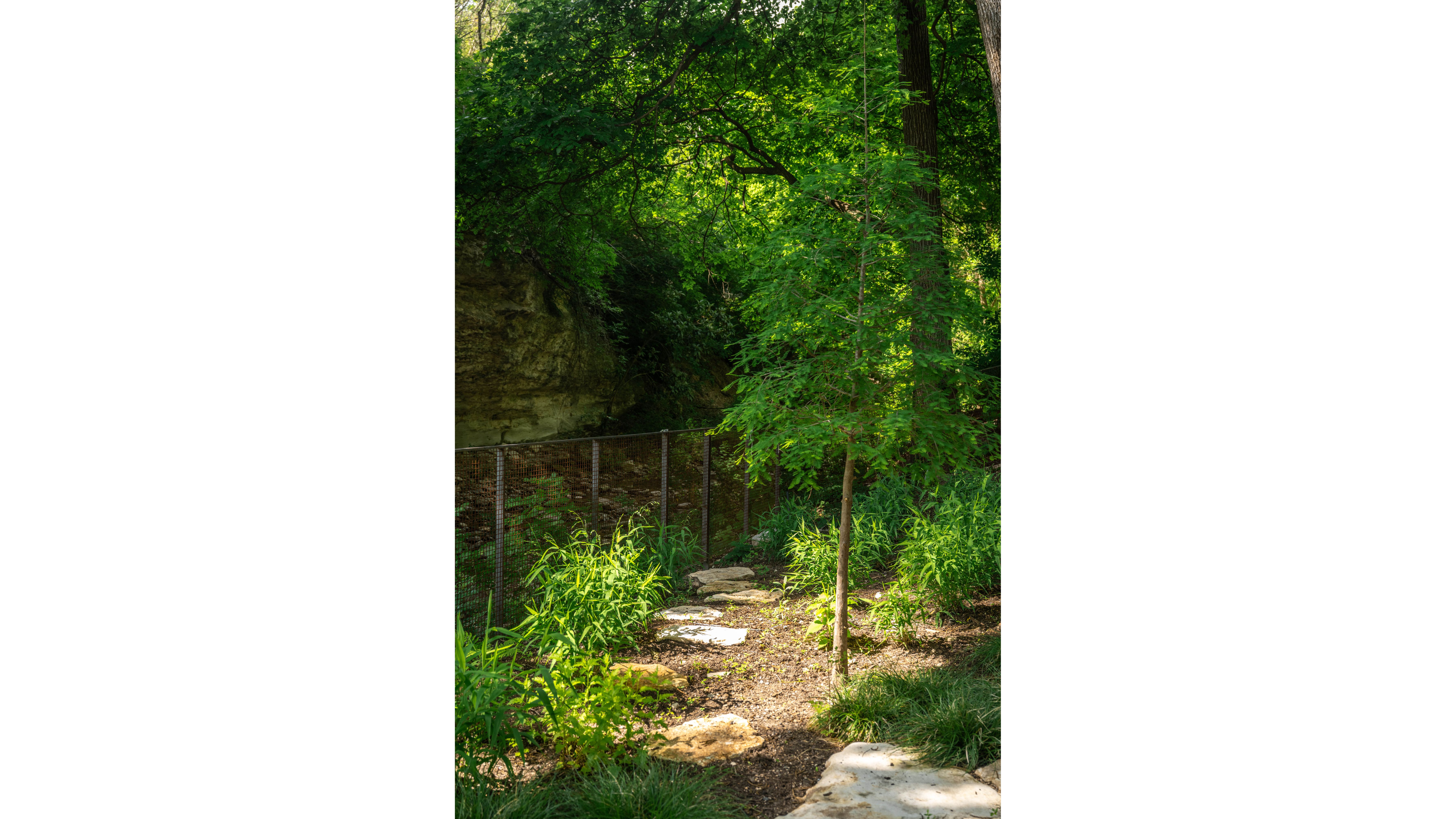 campbell-la-bouldin-creek-11 white space.jpg