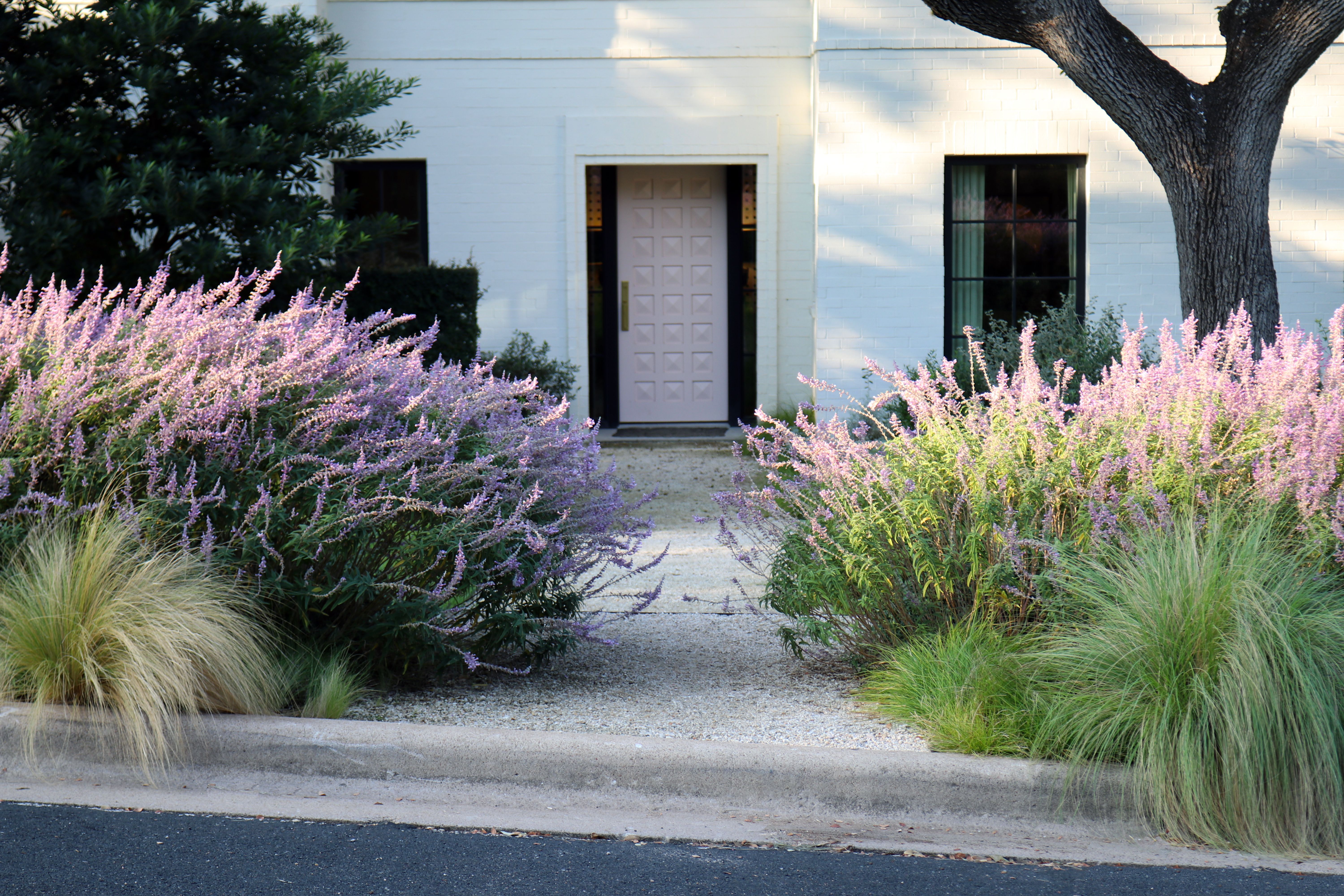 campbell-la-south-hill (2).jpg